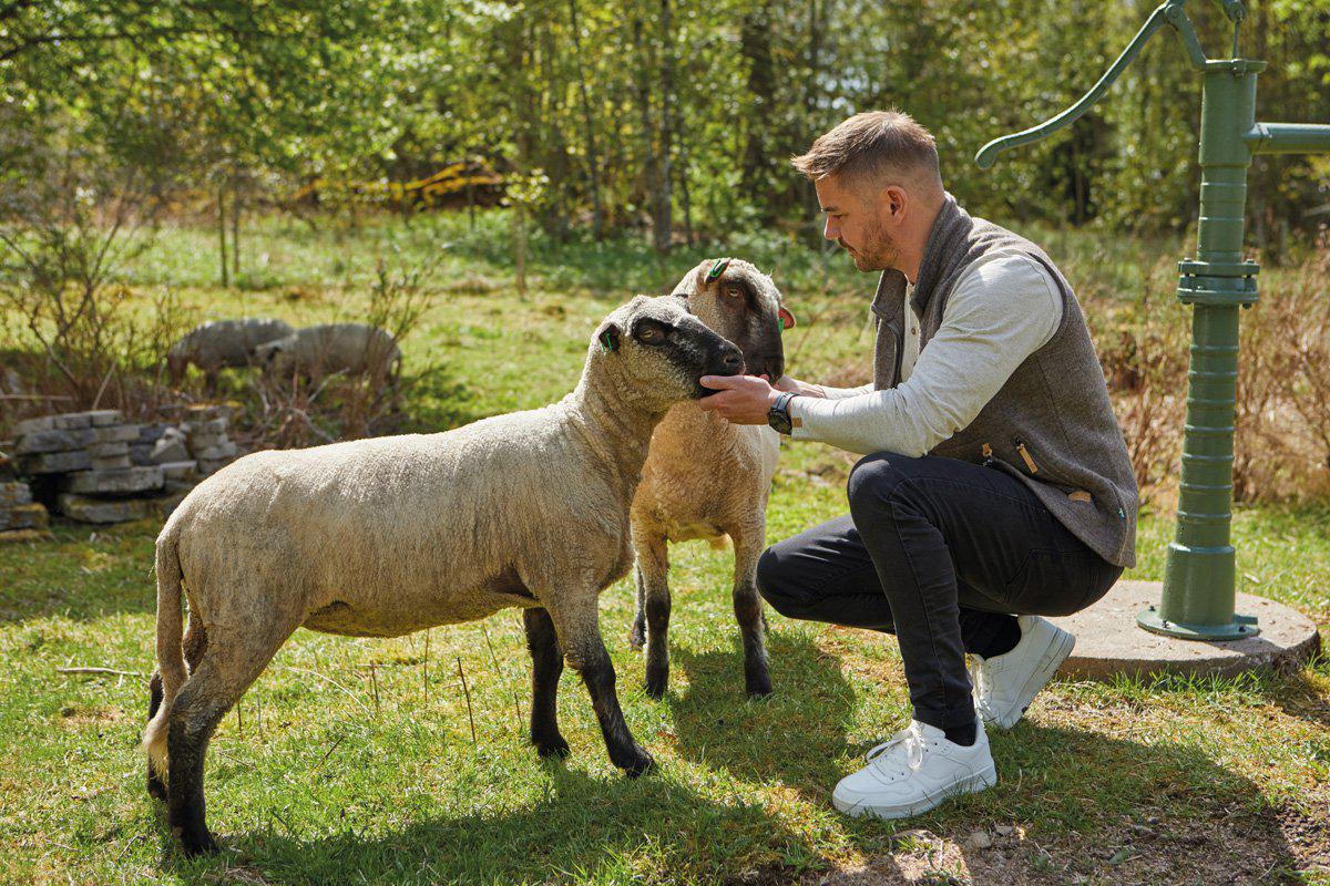 Ivanhoe Knitted in Sweden - NLS Barley Vest | wollen heren bodywarmer