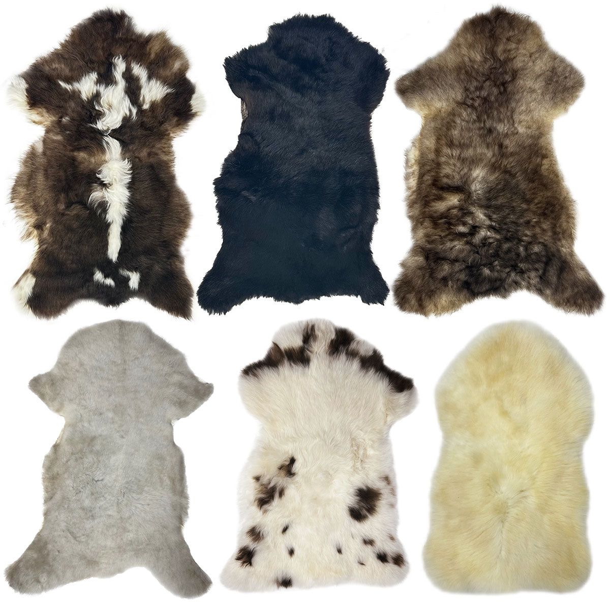 Texelana | lamsvachtje