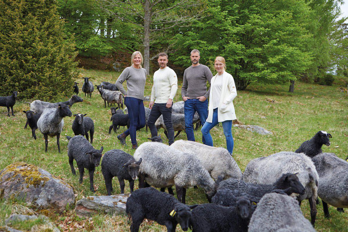 Ivanhoe of Sweden - NLS Petal male | woolen men's sweater