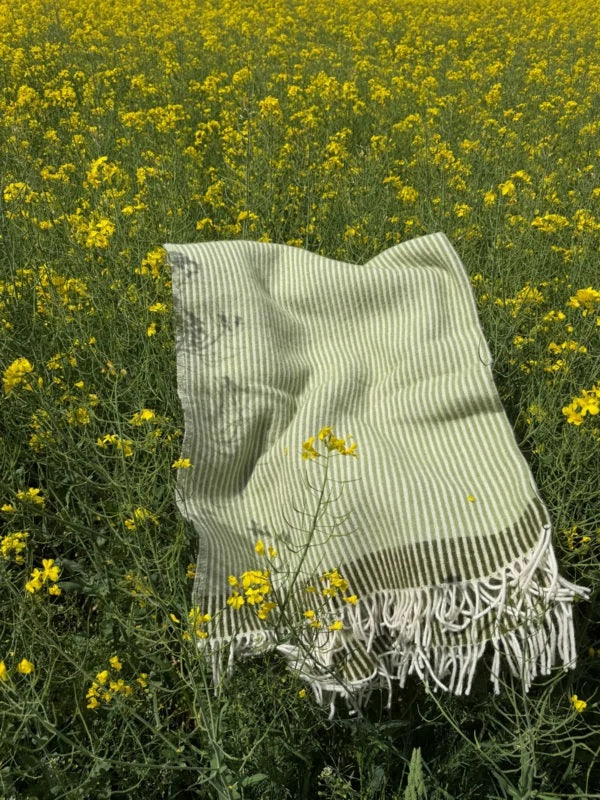 Klippan - Rib | plaid van 100% lamswol