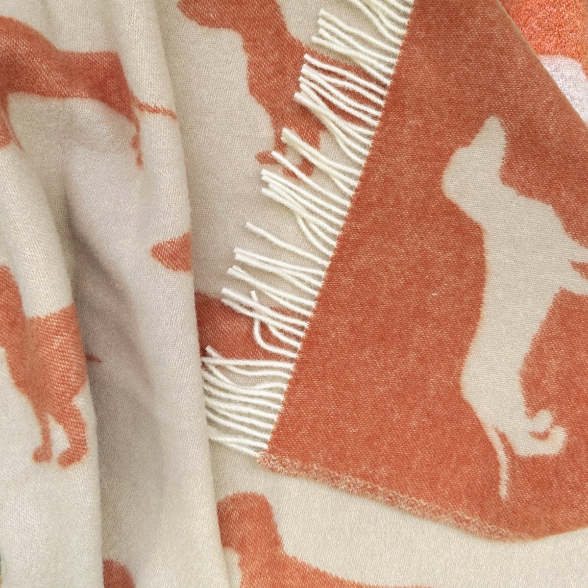 Belpo - Plaid teckel | wollen plaid met teckelprint