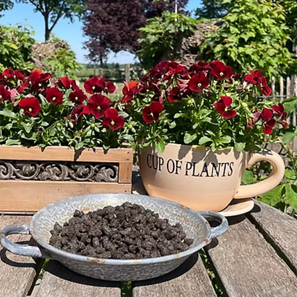 Echte Texelse Wolpellets van Texelse schapenwol