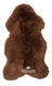 Bruin